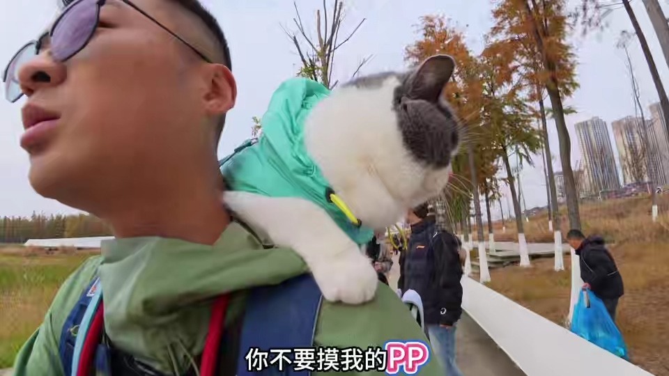 萌宠南昌游